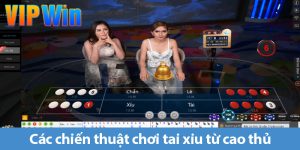 Tài xỉu online - Trải nghiệm hấp dẫn từ cách chơi đến mẹo chiến thắng đỉnh cao